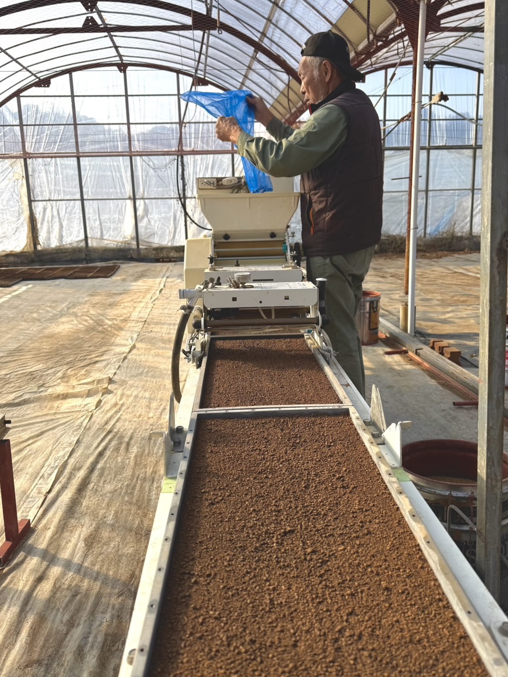 宮崎県産 ほしじるし 日向のイメージ写真