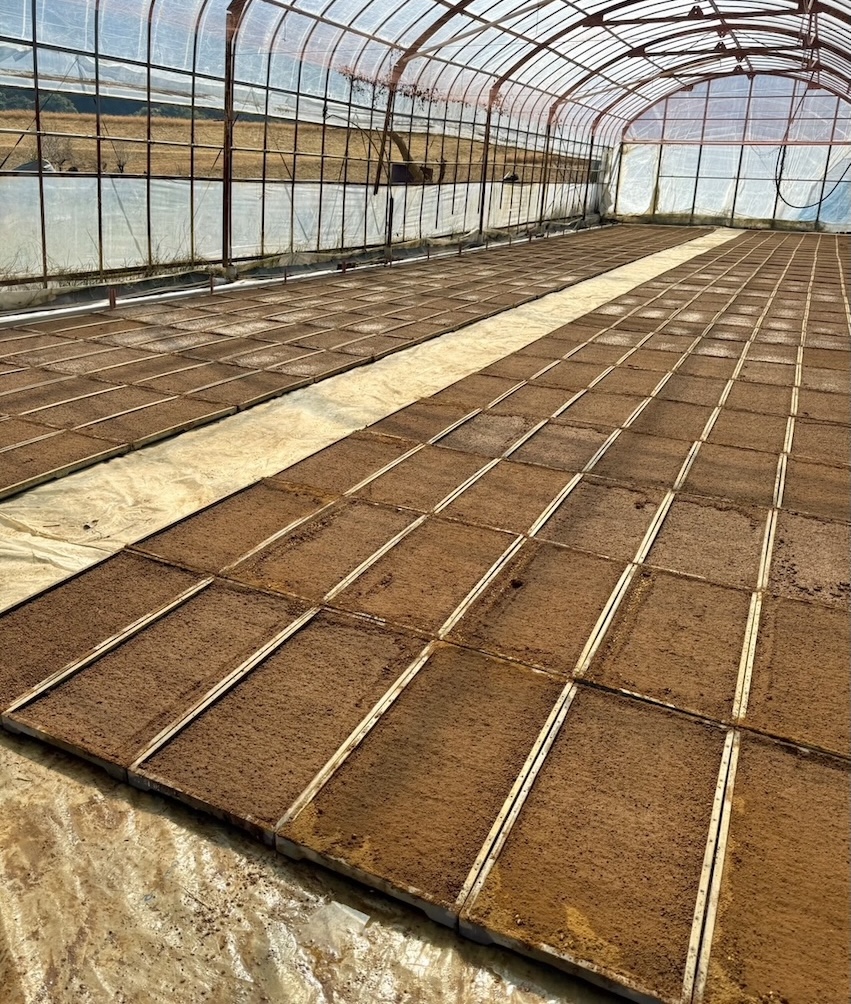 春の田んぼ作業の写真